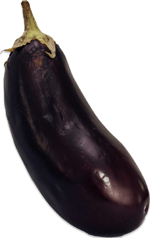 Un aubergine