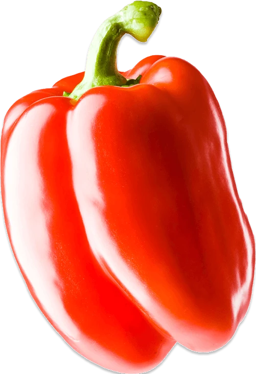 Un poivron